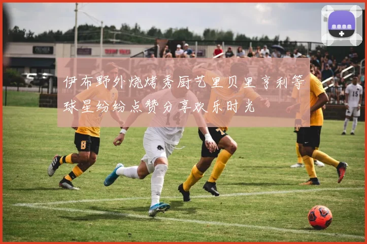 伊布野外烧烤秀厨艺里贝里亨利等球星纷纷点赞分享欢乐时光