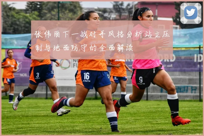 张伟丽下一战对手风格分析站立压制与地面防守的全面解读
